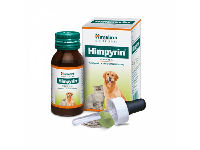 Обезболивающее для кошек — обзор препаратов, виды анальгетиков