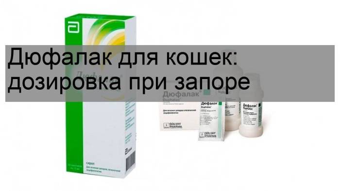 Правильное питание при запорах, полезные советы диетолога