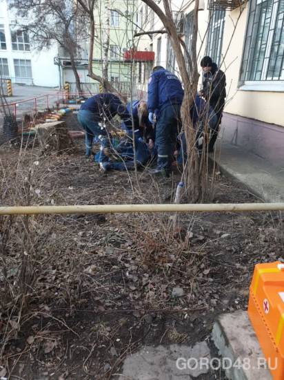 Последствия падения кота с 4, 5, 8 или даже 14 этажа: что нужно сделать