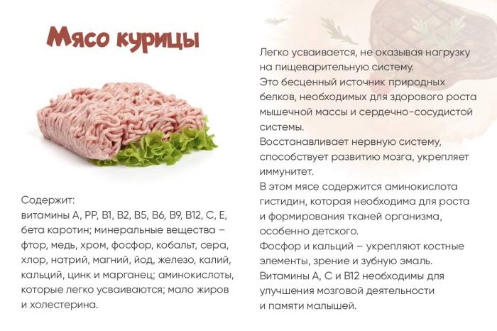 Мясо кролика: польза и вред для организма и состав