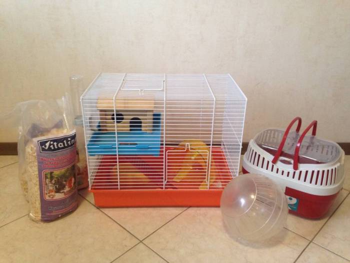 ᐉ переноска для хомяка и контейнер, можно ли перевозить хомяка в поезде, машине и самолете - zoopalitra-spb.ru