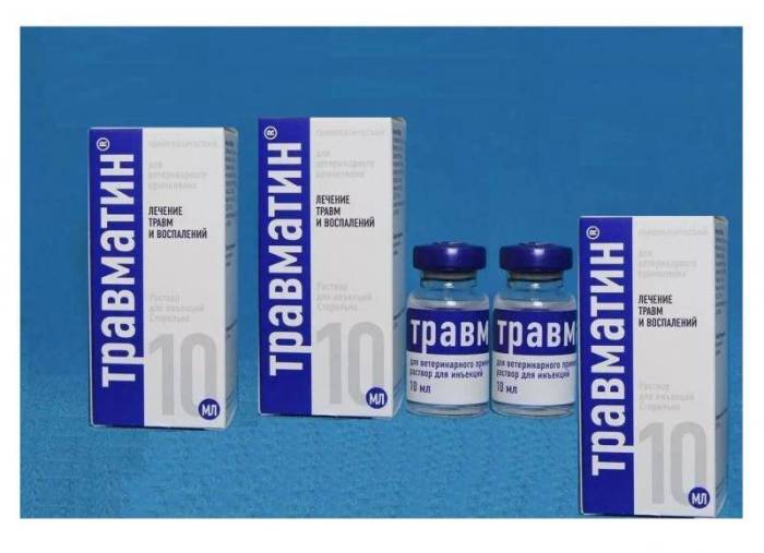 Травматин для кошек - инструкция по применению препарата