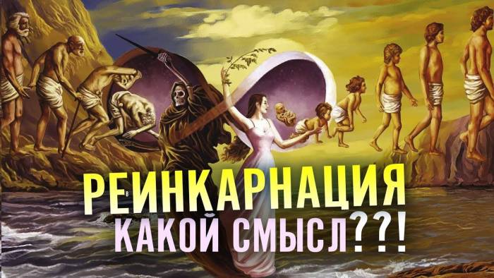 Что происходит с душой собак после смерти: реинкарнация, православие