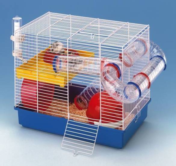 Правильно выбранная клетка для джунгарского хомяка — залог здоровья вашего пушистика