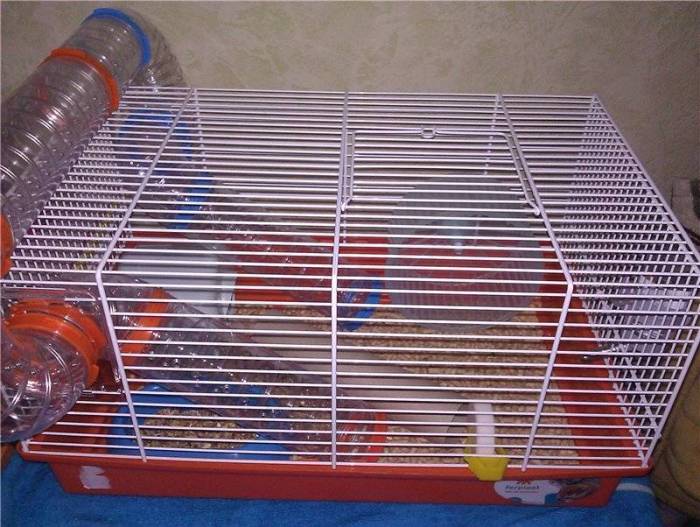 Домики для хомяков: из чего можно сделать, как соорудить своими руками, что положить