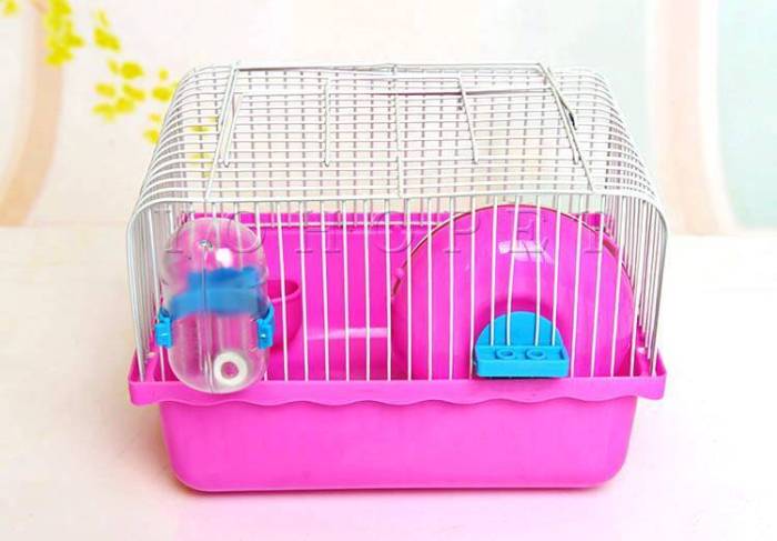ᐉ переноска для хомяка и контейнер, можно ли перевозить хомяка в поезде, машине и самолете - zoopalitra-spb.ru