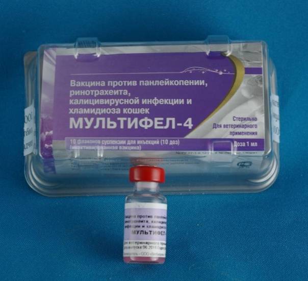 Как проходит процедура асит