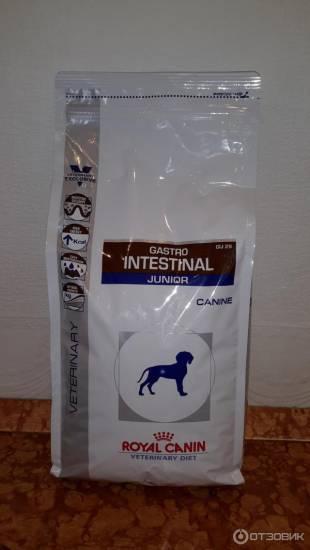 Royal canin (роял канин): обзор корма для кошек, состав, отзывы