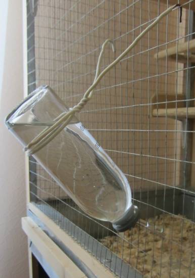 Поилка для хомяка - как сделать и установить поилку своими руками