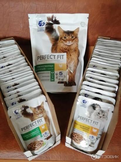 Perfect fit корм для кошек: разбор состава, отзыв ветеринара