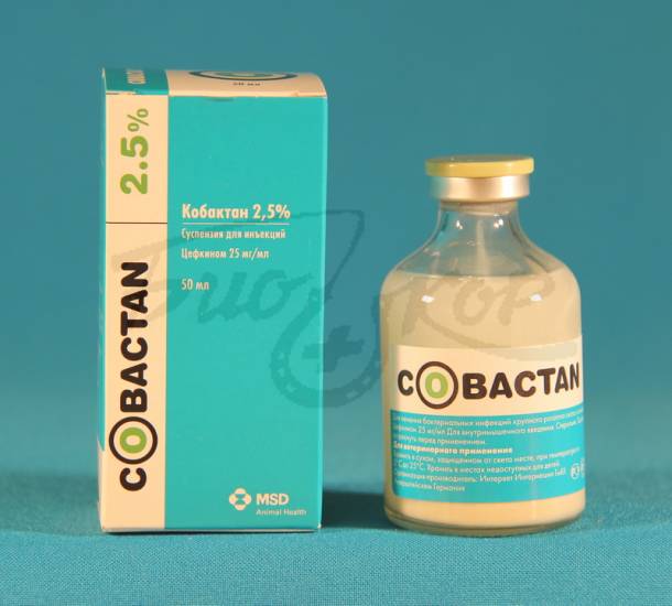 Инструкция