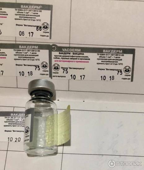 Вакдерм для собак: цель и особенности применения