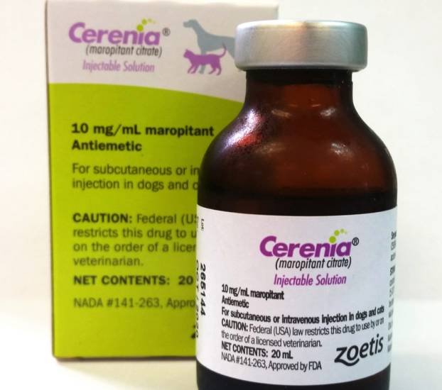 Как давать серению для кошек