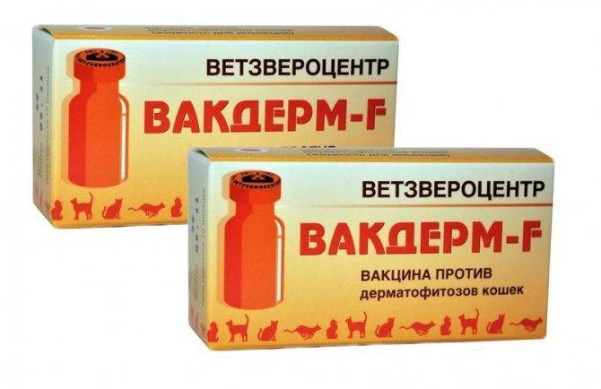 Вакдерм для собак: инструкция по применению, назначение и ограничения, отзывы