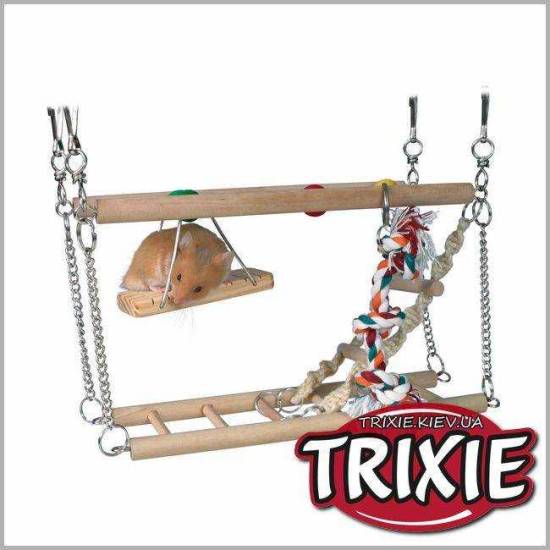 Из чего и как сделать лабиринт для хомяка своими руками: самостоятельно строим туннели, трубы и полосы препятствий