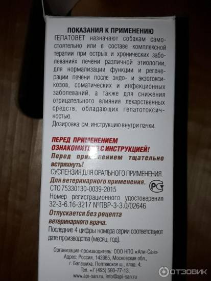 Гепатовет для собак: инструкция по применению, состав, возможные побочные эффекты, чем можно заменить
