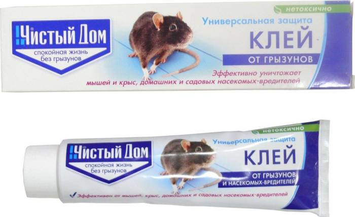 Клей для ловли крыс и мышей: эффективные средства — domovod.guru