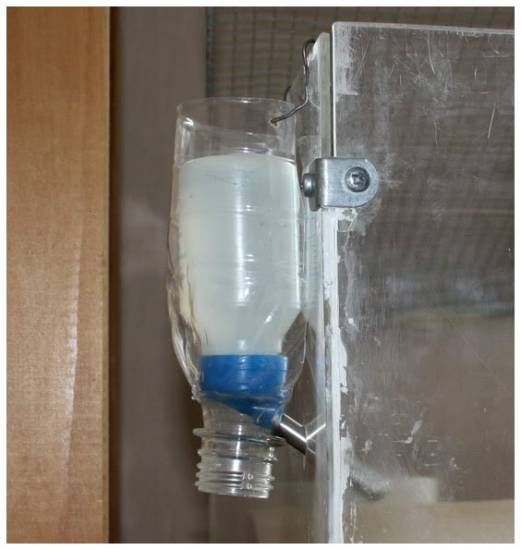 Поилка для хомяка – простая конструкция,которую легко изготовить своими руками