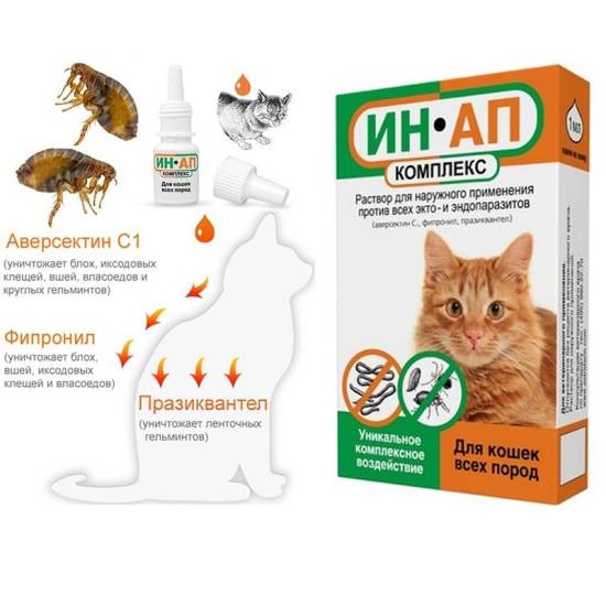 Средство от блох для кошек: самое эффективное, отзывы, народные