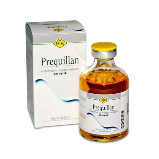 Верибен для собак – эффективность и опасность