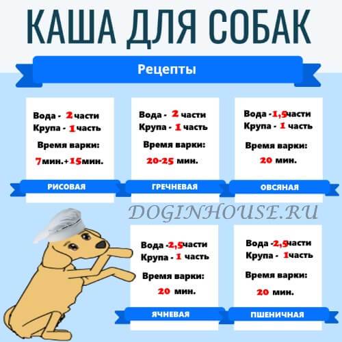 Каша для собаки: рецепты, из каких круп и как приготовить (варить), нужно ли солить блюдо, а так же подробно о пшеничной, ячневой, гурмане и хот дог