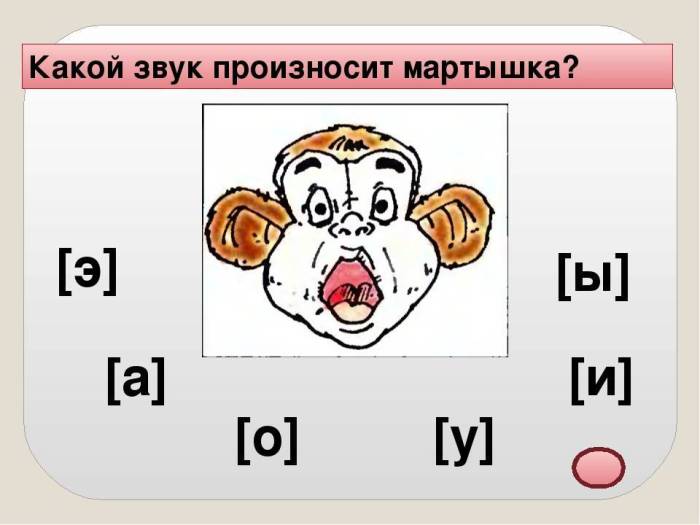 Язык тела и поведения кроликов | кролик дома
