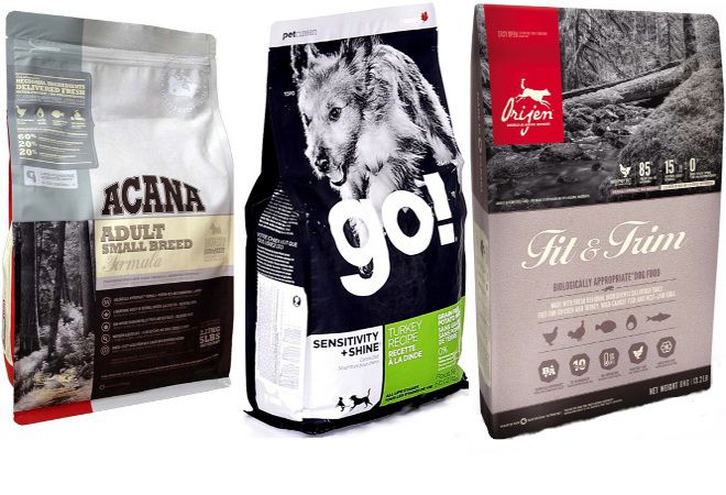 Выбор лучшего сухого корма для породы йоркширский терьер по мнению ветеринаров