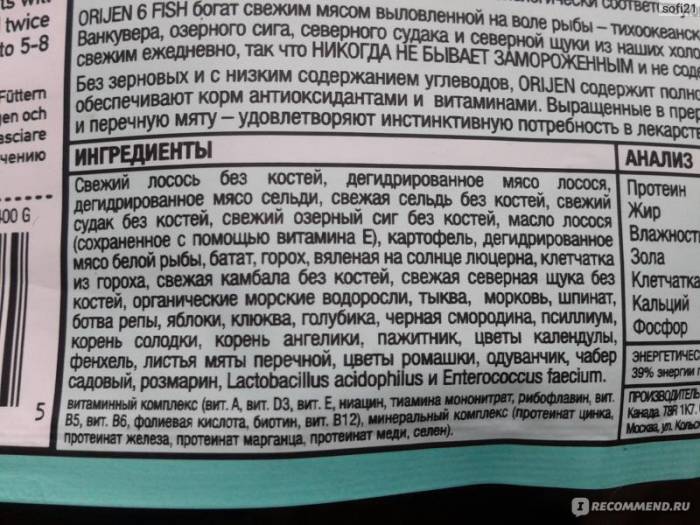 Корм для кошек orijen: обзор линейки, состав