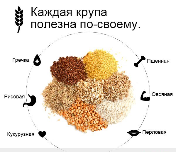 Специи и приправы для собак