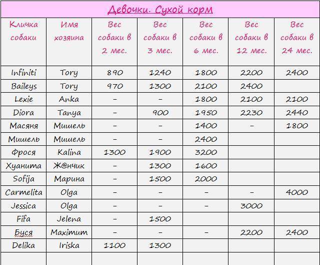 Сколько весит мини йорк взрослый – уход за волосами