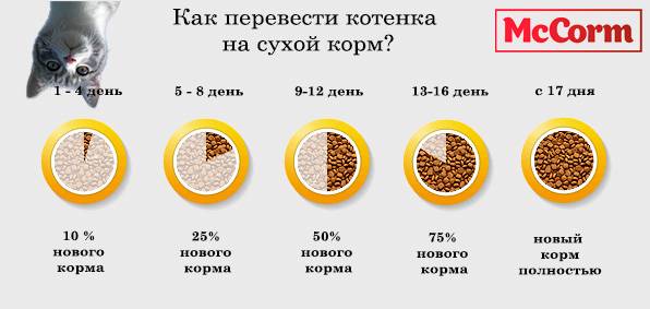 Как заставить собаку есть сухой корм | ваши питомцы