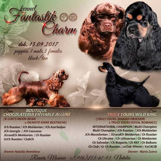 Чем отличается приют от питомника. | собакологика. записки заводчика | дзен