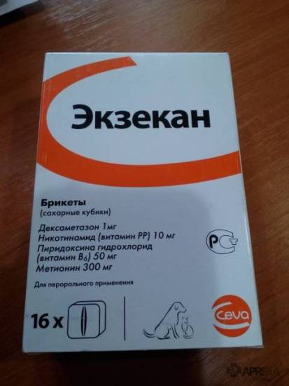 Эозинофилы в крови