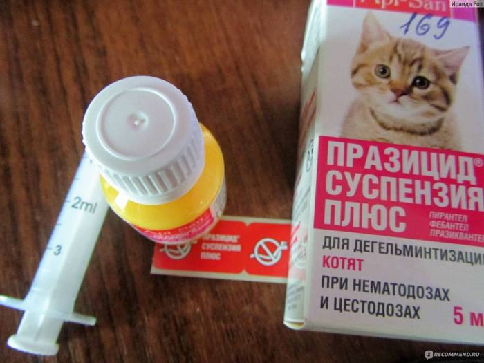 Глистогонные препараты для кошек