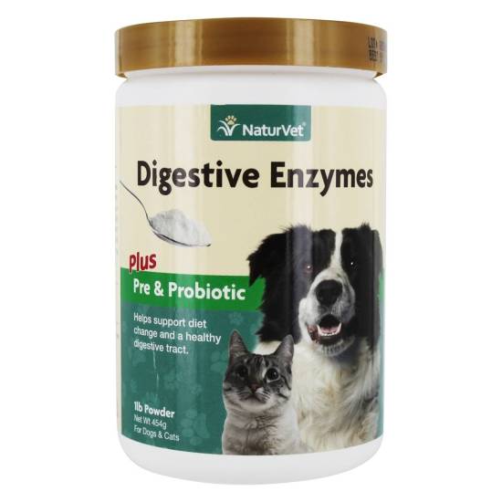 Пробиотики для собак: принцип действия, показания к применению, породные особенности