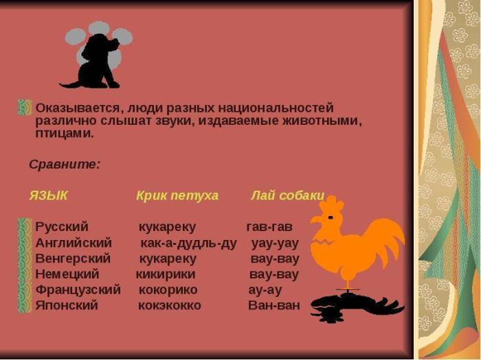 Какие звуки издают кролики: как кричат и разговаривают