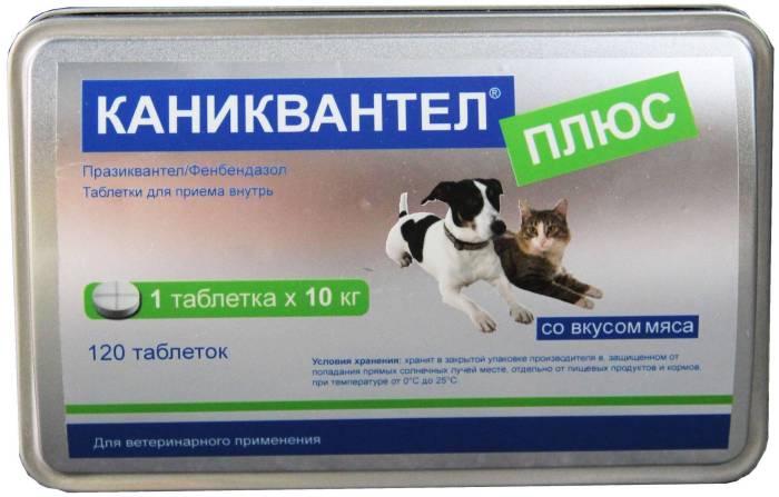 Каниквантел для кошек, инструкция по применению: как давать питомцу таблетки от глистов?