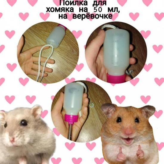 Поилка для хомяка – простая конструкция,которую легко изготовить своими руками