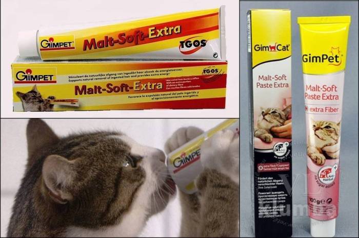 Чем кормить кошку для выведения шерсти из желудка