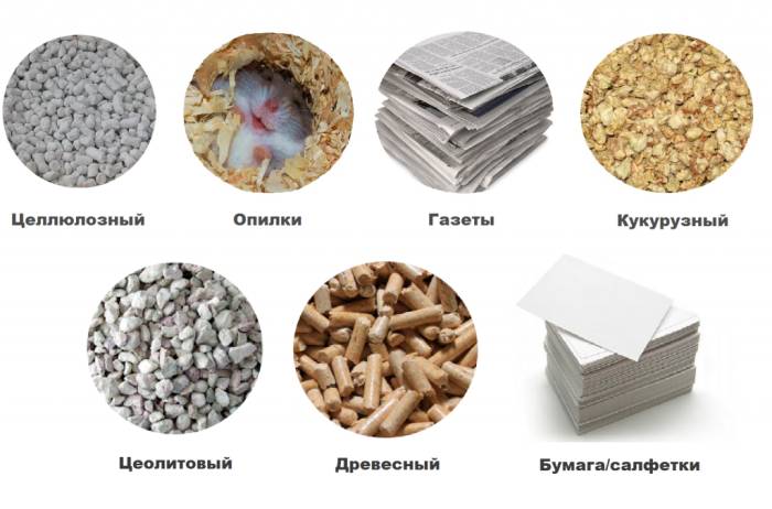 Опилки, сено, бумага, лен — для хомяков какой наполнитель (подстилка) лучше?