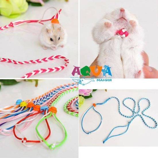 Поводок для хомяка и шлейка: описание, сравнение, как сделать своими руками