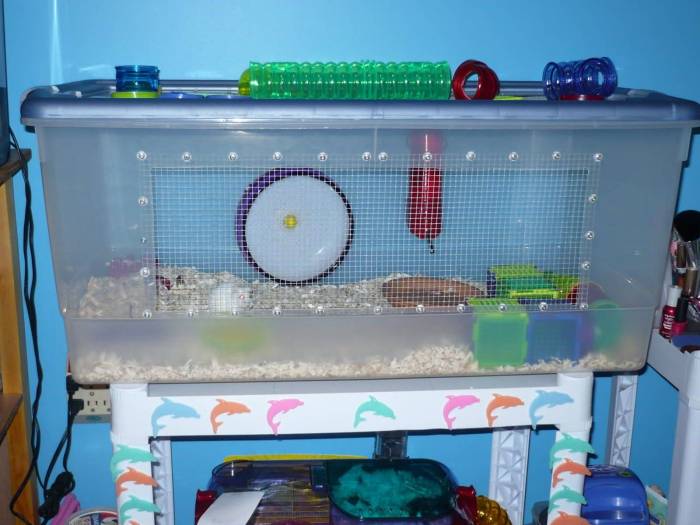 Как обустроить клетку хомячка: 15 шагов