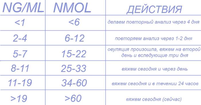 На какой день течки лучше всего вязать собаку?