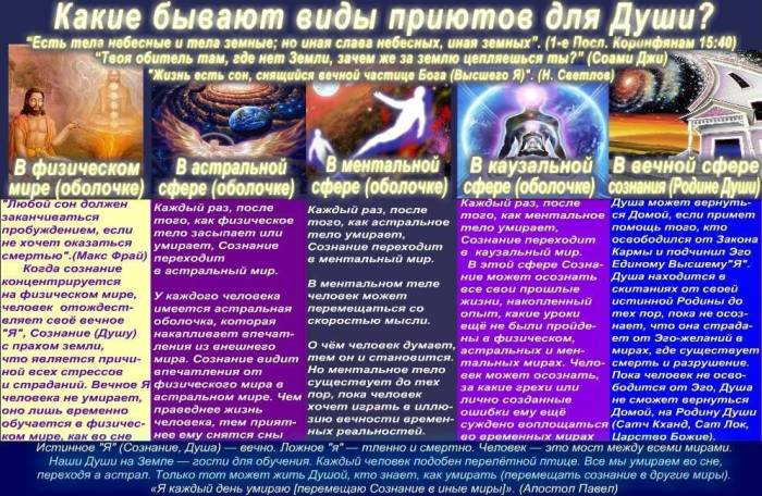 Есть ли у собак душа и куда она уходит после смерти?