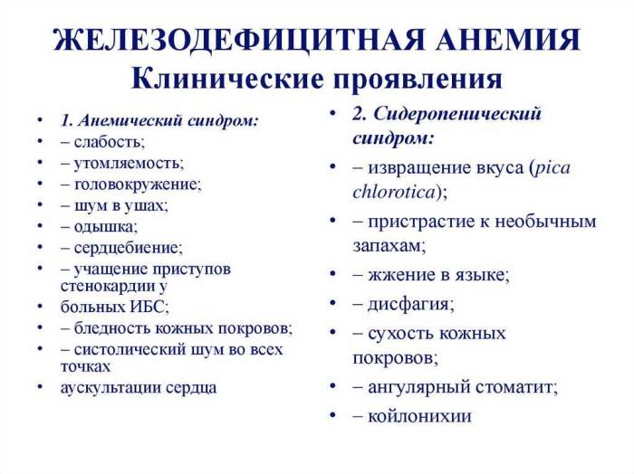 Чем спровоцирована и как лечится анемия у кошек