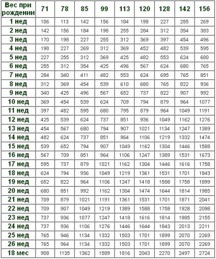Фото щенков йорка с 1 по 12 месяц — вес и рост по месяцам в таблице.