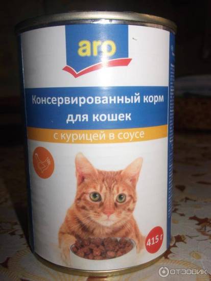 Дешевые корма для кошек: описание, обзор, советы ветеринаров