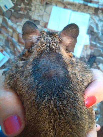 Как не пропустить признаки приближающегося инфаркта? первая помощь при инфаркте