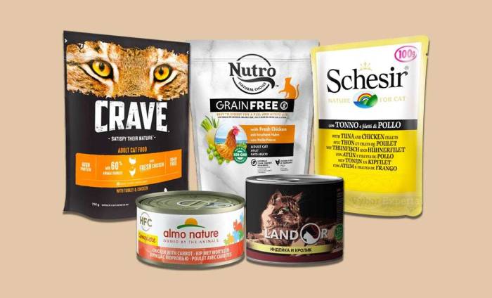 Лучшие корма холистики для кошки