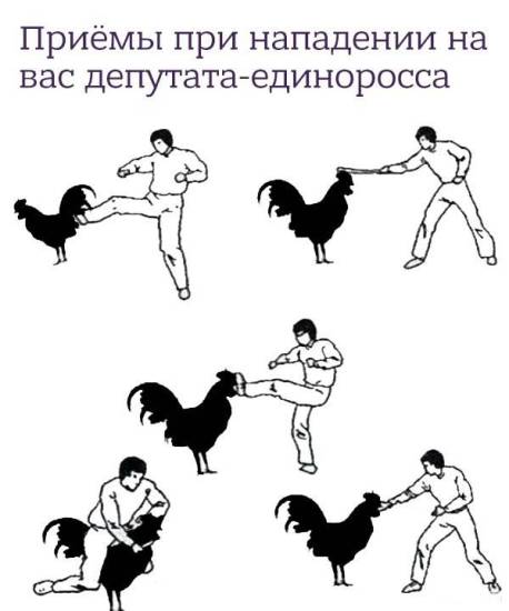 Почему дегу пищит; дегу пищит не переставая: причины; что делать, если дегу постоянно пищит
